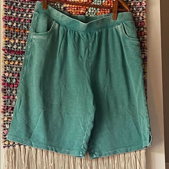 Coldwater Creek Pants - Coldwater Creek Teal Women's Shorts